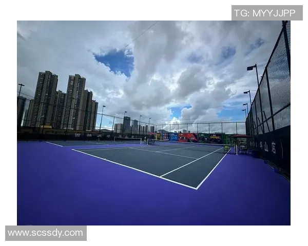 深圳网球队的转型升级之路：从传统到现代的全面革新探索